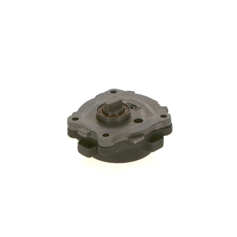 Bosch Fuel Pump Assembly
