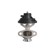 Valeo Exhaust Gas Recirculation Valve 703257