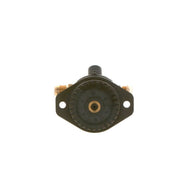 Bosch Fuel Pump Assembly