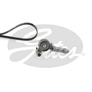 Gates V-Ribbed Belt Set K015PK1335