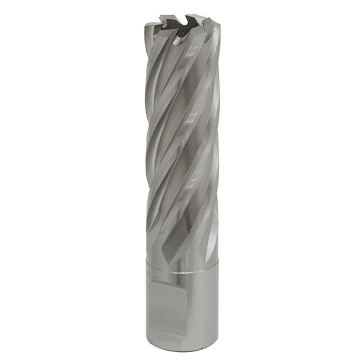 Sealey Rotabor Cutter HSS19mm Cut Depth 50mm RBHSS19L Sealey - Dynamic Drive