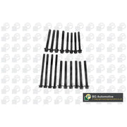 BGA Cylinder Head Bolt Set M10,M12 BK2319