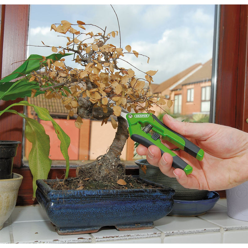 Draper Precision Straight Pruning Secateurs, 165mm 73728 Draper - Dynamic Drive