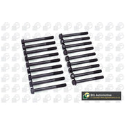 BGA Cylinder Head Bolt Set M11 BK5332