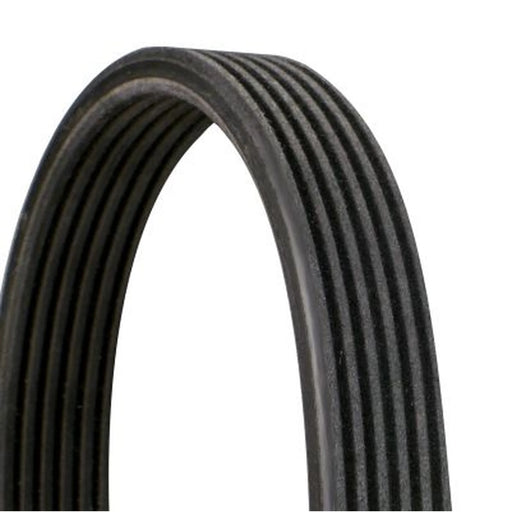 Continental CTAM Multi V-Ribbed Drive Belt fits Porsche 911 2013-2020 3.8