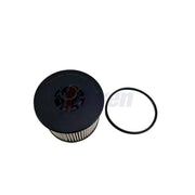 Fahren Fuel Filter Element FFF5102