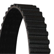 Continental CTAM Timing Belt Cambelt 55 Teeth fits Hyundai H-1 2000-2004 2.4