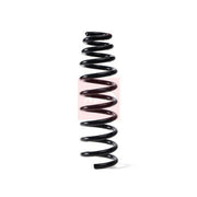 Apec Front Suspension Coil Spring ACS1725