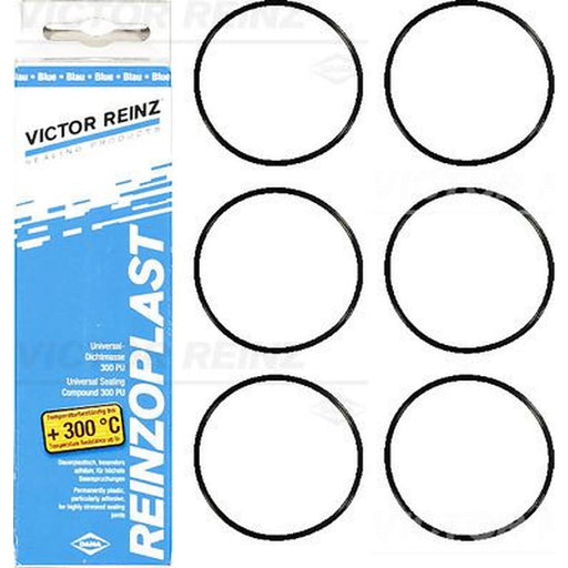 Victor Reinz Cylinder Head Cover Gasket Set 15-76741-03