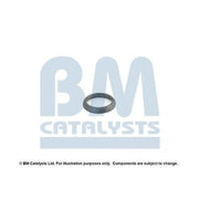 BM Catalysts Fitting Kit FK80157A FK80157A