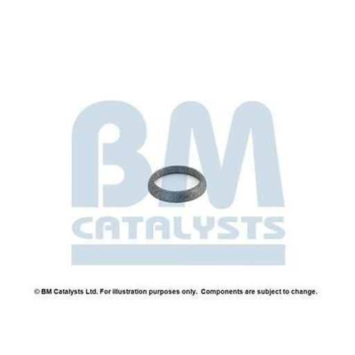 BM Catalysts Fitting Kit FK80157A FK80157A