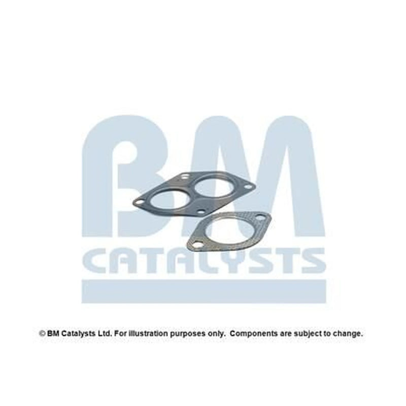 BM Catalysts Fitting Kit FK91079A FK91079A