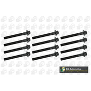 BGA Cylinder Head Bolt Set M12 BK4389