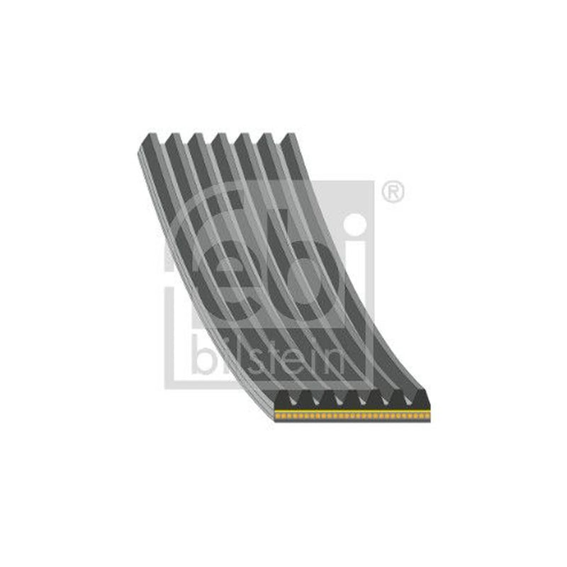 Febi Multi V-Ribbed Drive Belt 199731