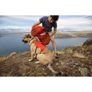 Ruffwear Palisades Dog Backpack in Red Sumac (Medium) Ruffwear - Bars 4 Cars