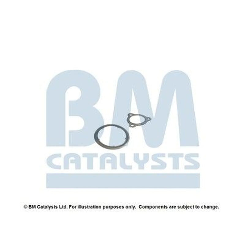BM Catalysts Fitting Kit FK11316A FK11316A