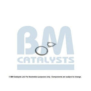 BM Catalysts Fitting Kit FK11316A FK11316A