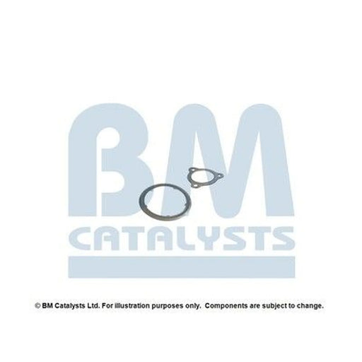 BM Catalysts Fitting Kit FK11316A FK11316A