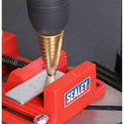 Sealey Drill Stand with Cast Iron Base 500mm & 65mm Vice DS01 Sealey - Dynamic Drive