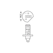 Osram 64155-01B H1 24V Osram  - Dynamic Drive