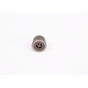 Bosch Engine Control Valve
