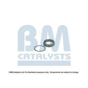 BM Catalysts Fitting Kit FK92237A FK92237A