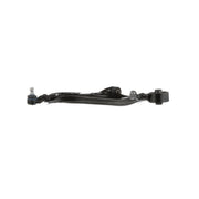 Delphi Control/Trailing Arm Lower fits Hyundai Grand Santa Fé 2013-2018