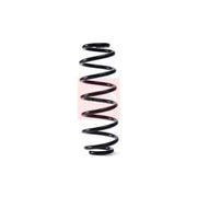 Apec Rear Suspension Coil Spring fits Audi Tt Roadster 1999-2006 1.8