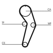Continental CTAM Timing Belt Cambelt 96 Teeth fits Dacia Dokker 2012-2021 1.6