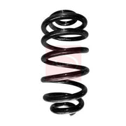 Apec Rear Suspension Coil Spring ACS1822