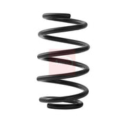 Apec Front Suspension Coil Spring ACS2505