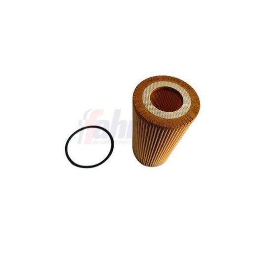 Fahren Engine Oil Filter FFL6038