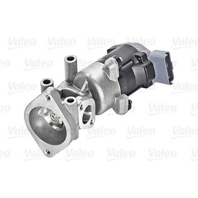Valeo Exhaust Gas Recirculation Valve Right 700423