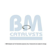 BM Catalysts Fitting Kit FK11217A FK11217A