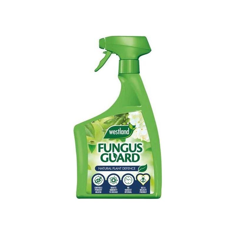 Westland Fungus Guard 800ml Westland - Town Tools