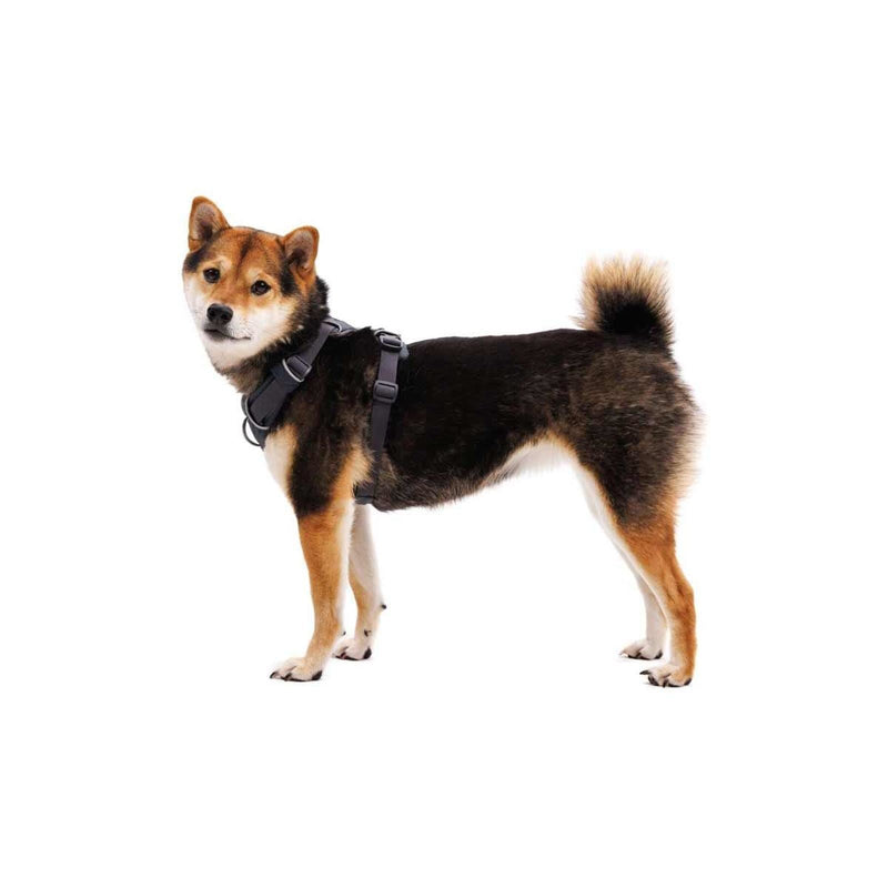 Ruffwear Front Range Dog Harness in Basalt Grey (X Small) Ruffwear - Dynamic Drive
