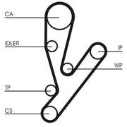 Continental CTAM Timing Belt Kit with Rollers fits Fiat Ducato 2001-2006 2.3