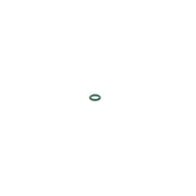 Bosch Sealing Ring Gasket