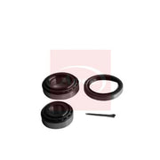 Apec Wheel Bearing Kit AWB1307