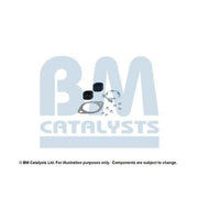 BM Catalysts Fitting Kit FK80586C FK80586C