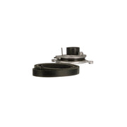 Gates V-Ribbed Belt Set K116PK1173