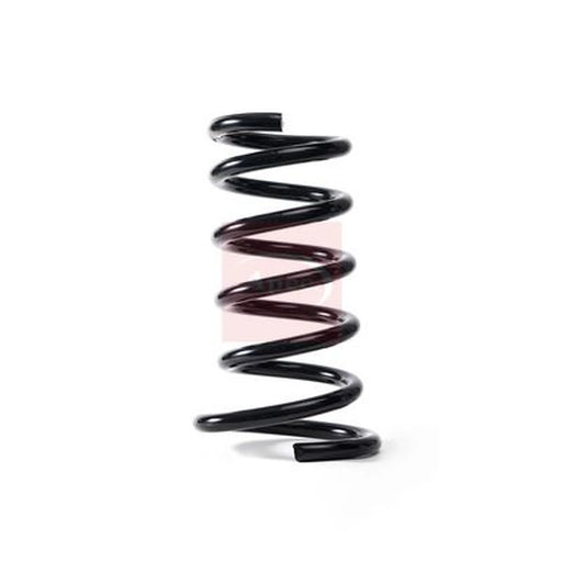 Apec Rear Suspension Coil Spring ACS1753