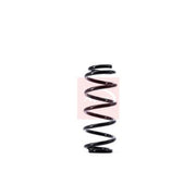 Apec Rear Suspension Coil Spring ACS1539