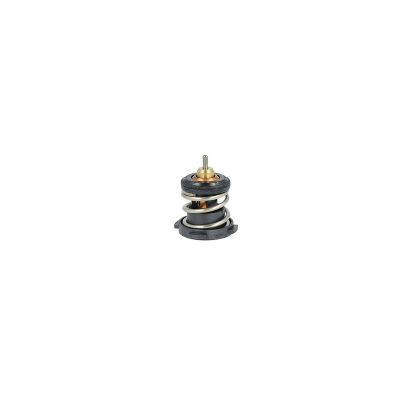 NRF Thermostat,Coolant 725225