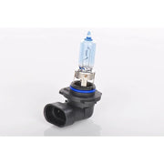 Bosch Car Light Bulb HB3 P20d 12V 60W