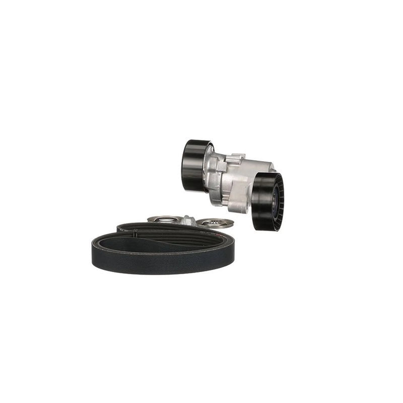 Gates V-Ribbed Belt Set K046PK2625