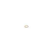 Bosch Injector Seal Ring