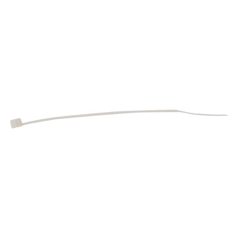 Forgefix Cable Tie Natural/Clear 2.5 x 100mm (Bag 100) ForgeFix - Town Tools
