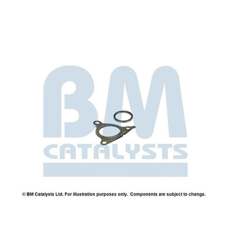 BM Catalysts Fitting Kit FK80861A FK80861A