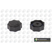 BGA Coolant Expansion Tank Cap CC0901